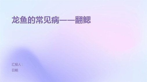金龍魚鰓蓋常見病【金龍魚鰓蓋常見病癥狀表現(xiàn)、發(fā)病原因及治療方法詳解】