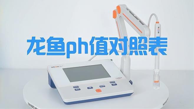 如何調(diào)整水質(zhì)以適應龍魚？【調(diào)整龍魚飼養(yǎng)水質(zhì)需重點關注以下參數(shù)及管理方法】