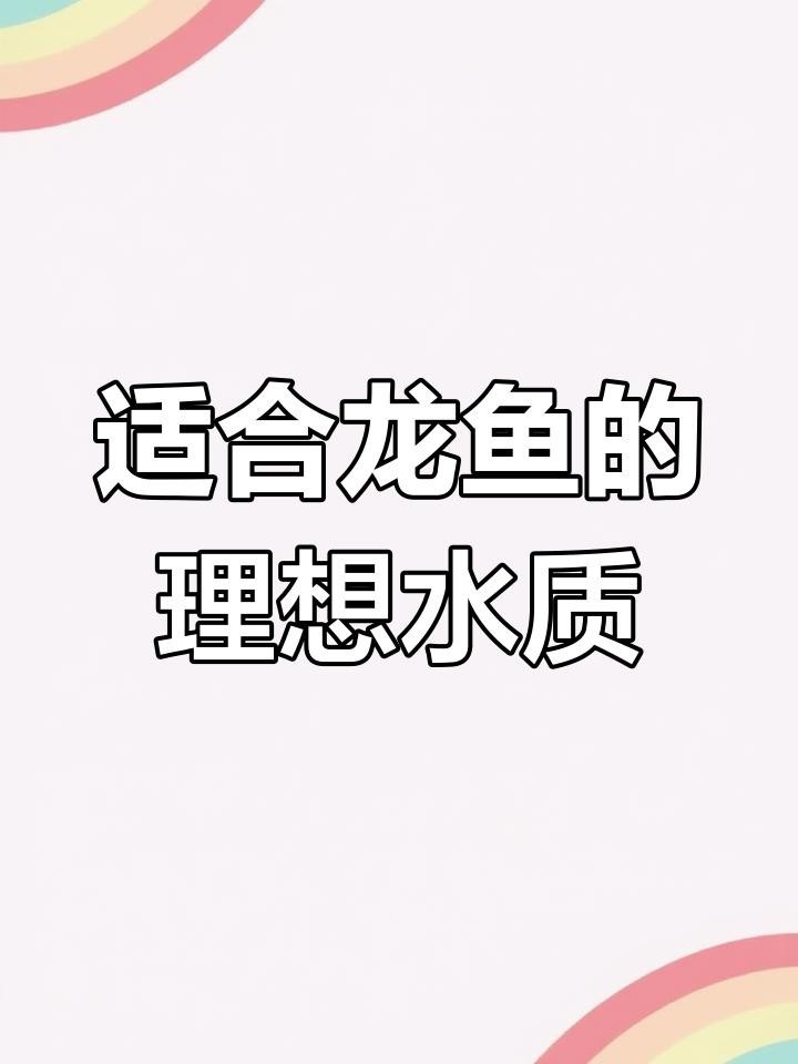 如何調(diào)整水質(zhì)以適應龍魚？【調(diào)整龍魚飼養(yǎng)水質(zhì)需重點關注以下參數(shù)及管理方法】