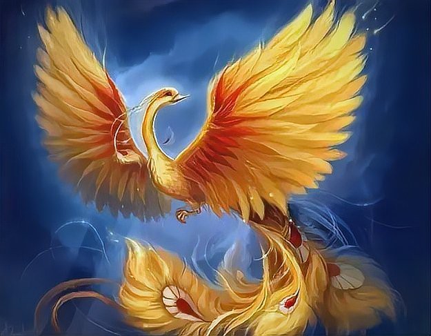 鳳凰的寓意和象征風水【鳳凰吉祥物的風水奧秘】