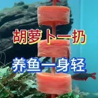 瑞金水族店【瑞金市象湖鎮年年有魚水族館】