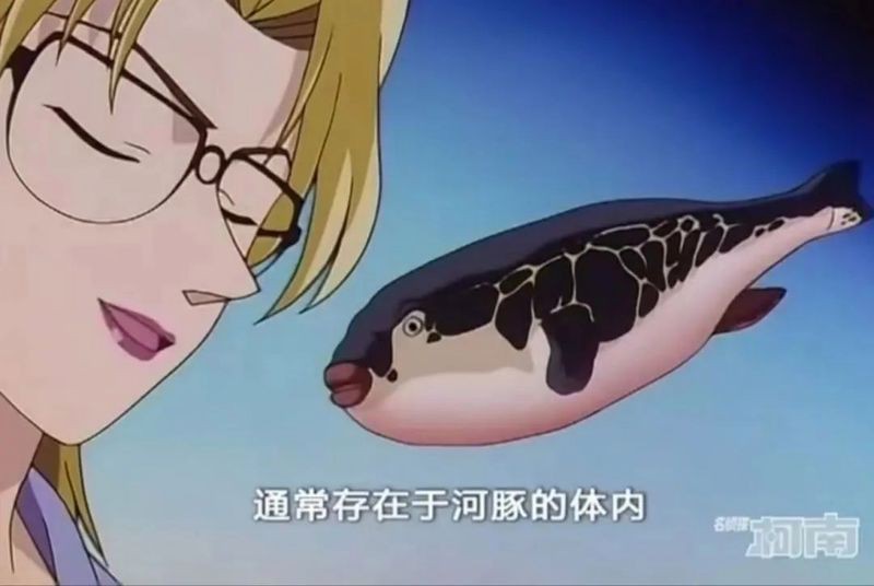 河豚和河鲀是一種魚嘛【河豚與河鲀的區(qū)別】