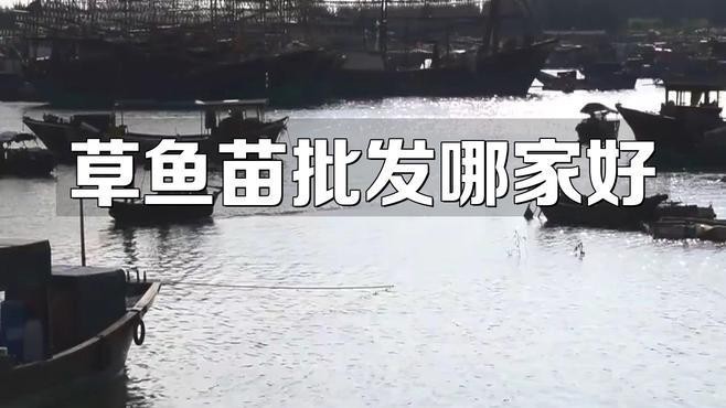 牧野開水族店怎么樣？加盟祥龍魚場賣龍魚市場怎樣？