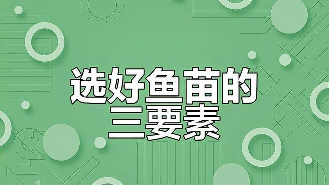 附近哪里有魚苗出售【關于附近魚苗出售渠道的詳細分析及建議及建議及建議】