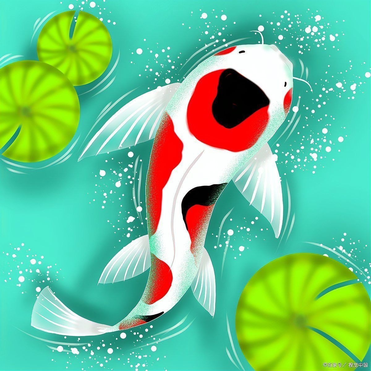 鯉魚寓意和象征是什么【錦鯉的寓意和象征】