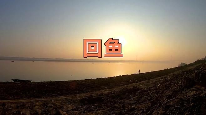鮰魚有幾種顏色【鮰魚和鯰魚有什么區別】