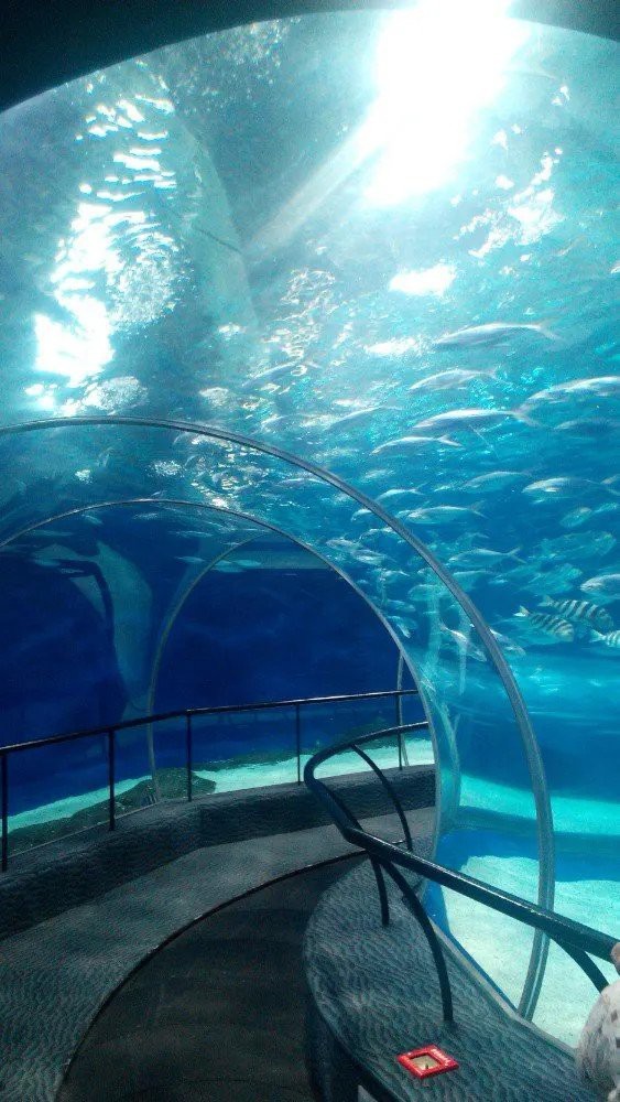 金山屯水族店【金山屯水族館有哪些特色展區(qū)】