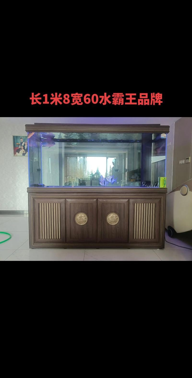 龍魚缸的正確位置圖解【龍魚缸擺放位置與禁忌】