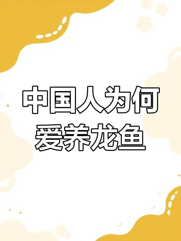 中國龍魚【中國龍魚生長全過程揭秘:從卵到七十公分的秘密半勺泡泡糖】 龍魚百科 第9張 中國龍魚【中國龍魚生長全過程揭秘:從卵到七十公分的秘密半勺泡泡糖】 中國龍魚【中國龍魚生長全過程揭秘:從卵到七十公分的秘密半勺泡泡糖】 龍魚百科 第9張