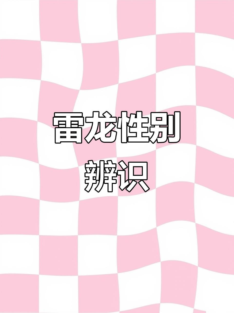 如何區分雷龍魚的公母？【《區分雷龍魚公母:黃金眼鏡蛇篇》嗶哩嗶哩嗶哩嗶哩嗶哩嗶哩嗶哩】 如何區分雷龍魚的公母？【《區分雷龍魚公母:黃金眼鏡蛇篇》嗶哩嗶哩嗶哩嗶哩嗶哩嗶哩嗶哩】 龍魚百科 第2張