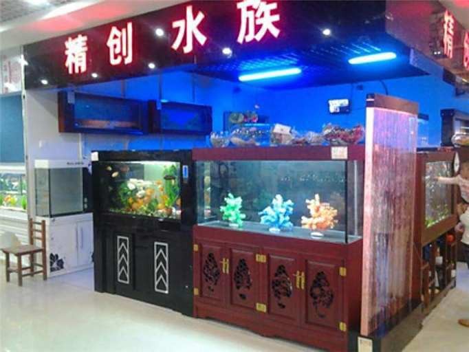 杞縣水族店【杞縣水族市場以祥龍魚場分店為代表主營高端龍魚等觀賞魚及配套器材】