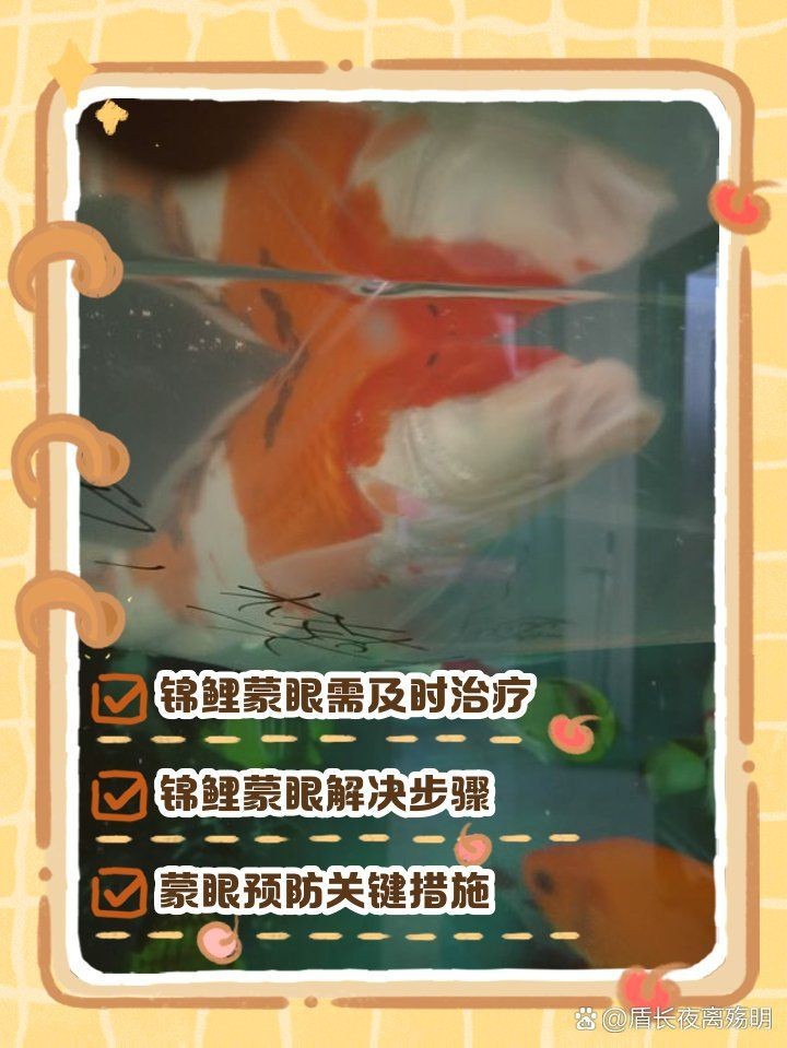 錦鯉蒙眼最好最快的辦法【錦鯉蒙眼病如何治療】