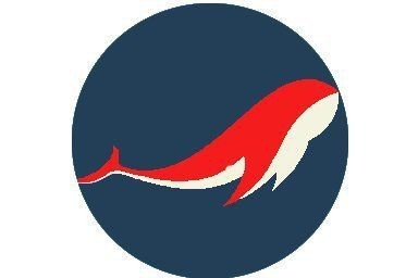 剛買回的銀龍魚怎么開口吃東西視頻（如何判斷銀龍魚是否已經適應了新水族箱的環境，并準備開始進食？）