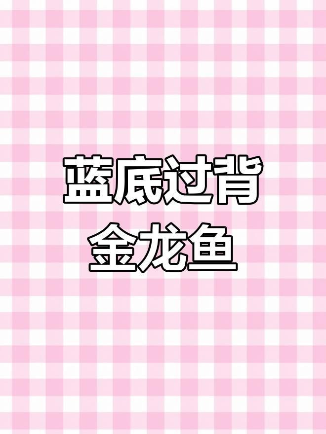 藍底過背龍魚最簡單三個顏色【古典藍底過背金龍:美麗與健康的完美結合】