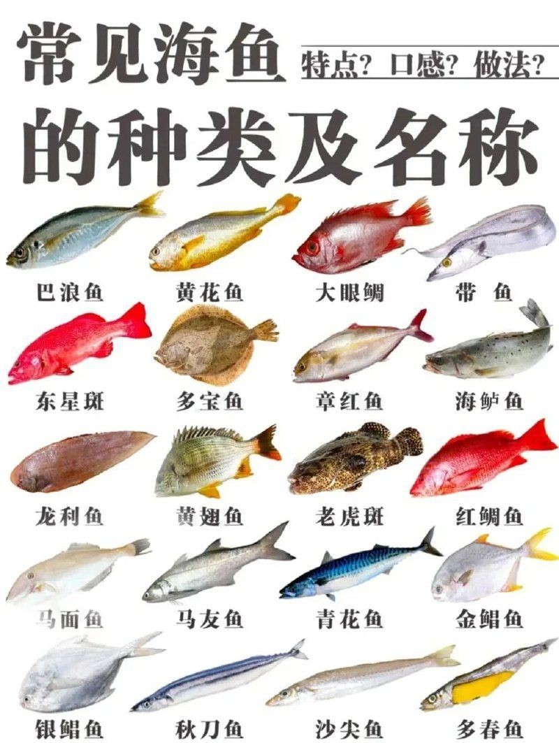 海魚的種類大全【16種常見的海魚品種、特點及做法】