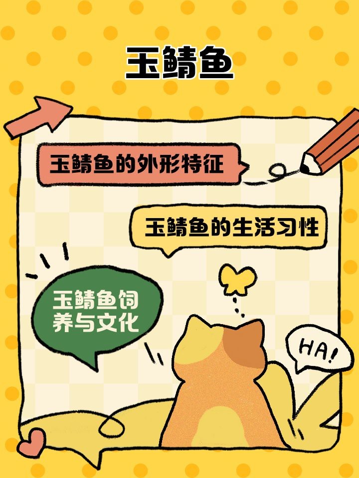 頂級玉鯖魚是什么魚【日本玉鯖魚的魅力】 頂級玉鯖魚是什么魚【日本玉鯖魚的魅力】 龍魚論壇 第3張