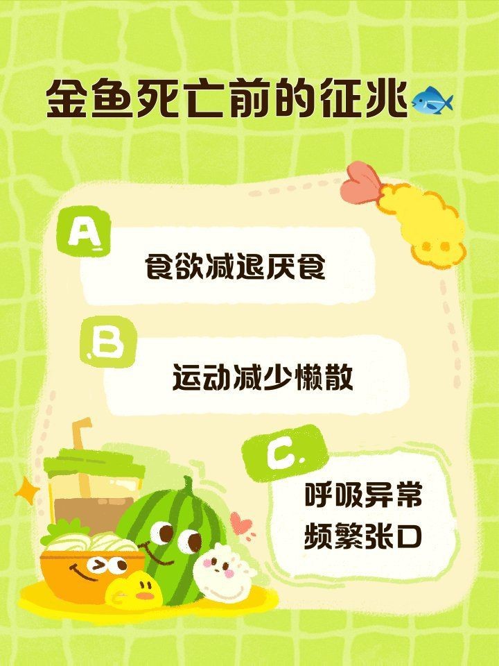 金魚死亡前的征兆【關于金魚死亡前征兆的詳細分析】 金魚死亡前的征兆【關于金魚死亡前征兆的詳細分析】 龍魚百科 第19張