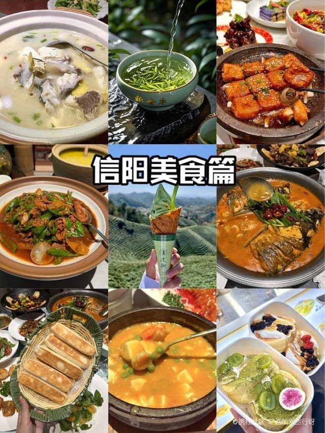 浉河龍魚店【信陽龍魚(百度地圖百度地圖店內有哪些龍魚品種】