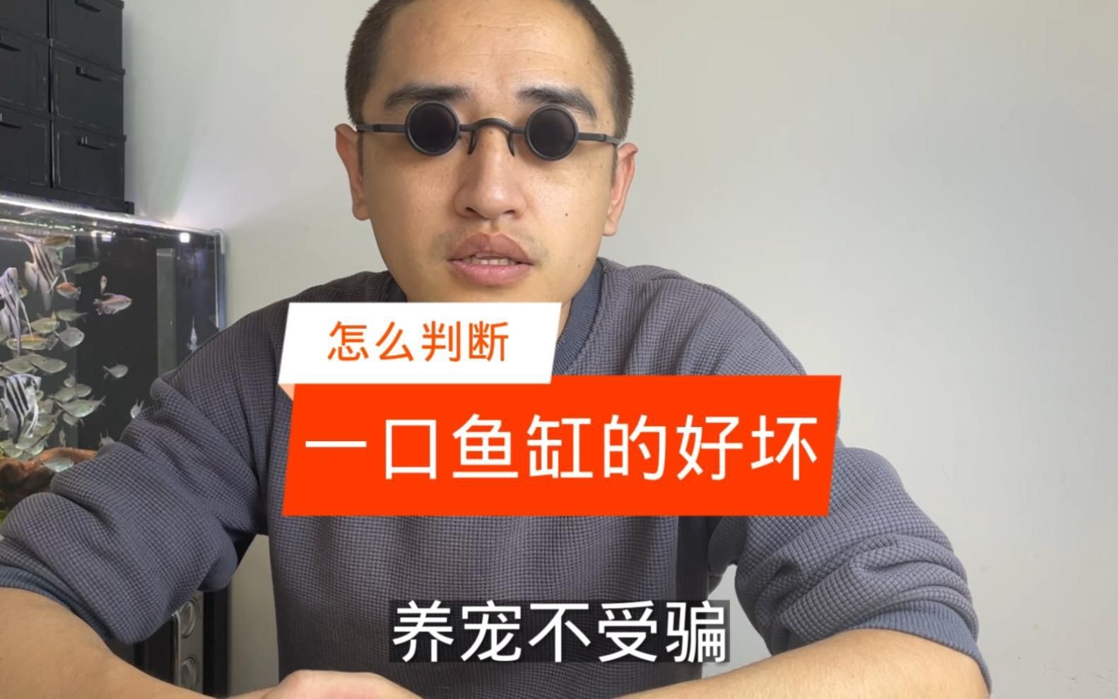 如何判斷一個(gè)魚缸品牌的好壞？【判斷魚缸品牌的好壞需綜合考慮材質(zhì)、功能設(shè)計(jì)及售后服務(wù)等多方面因素】