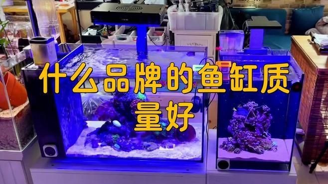 如何判斷一個(gè)魚缸品牌的好壞？【判斷魚缸品牌的好壞需綜合考慮材質(zhì)、功能設(shè)計(jì)及售后服務(wù)等多方面因素】