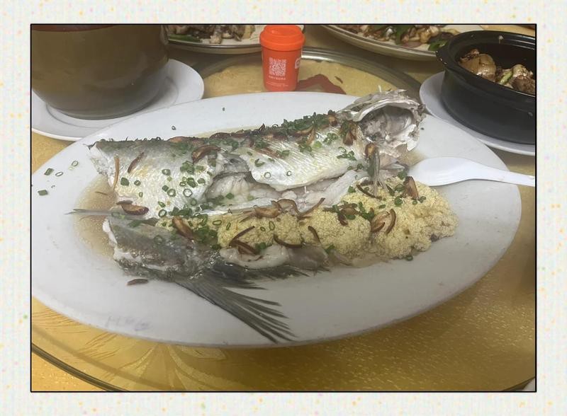 江口龍魚店【肇慶江口魚村10年老店的味蕾記憶七悅浪漫雋小蕓】