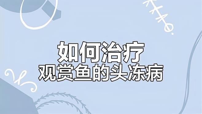 紅龍魚頭洞病如何治療？【紅龍魚頭洞病怎么治療】 紅龍魚頭洞病如何治療？【紅龍魚頭洞病怎么治療】 龍魚百科 第5張