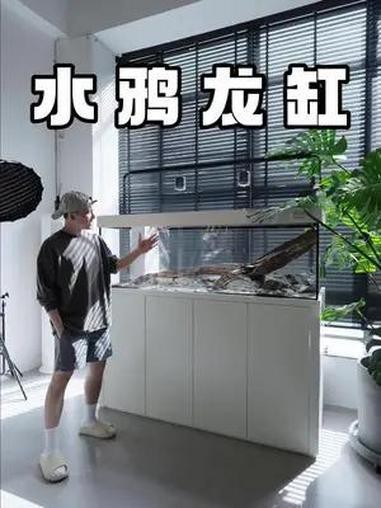 水鴉魚缸官網正品購買