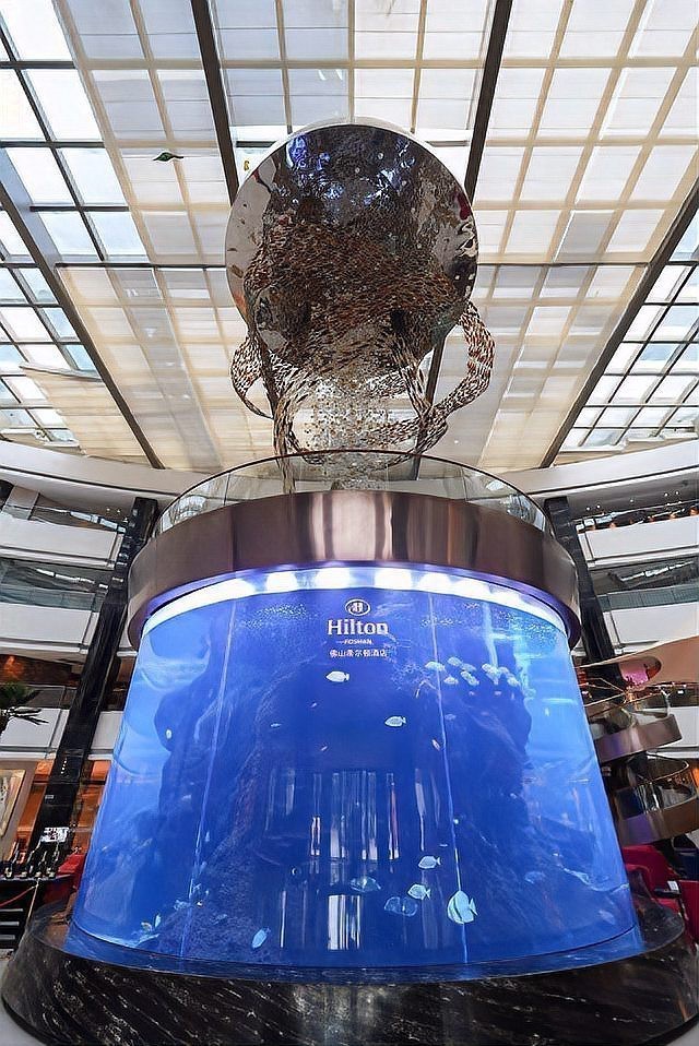 康樂水族店【佛山市三水區西南街康樂水族館】