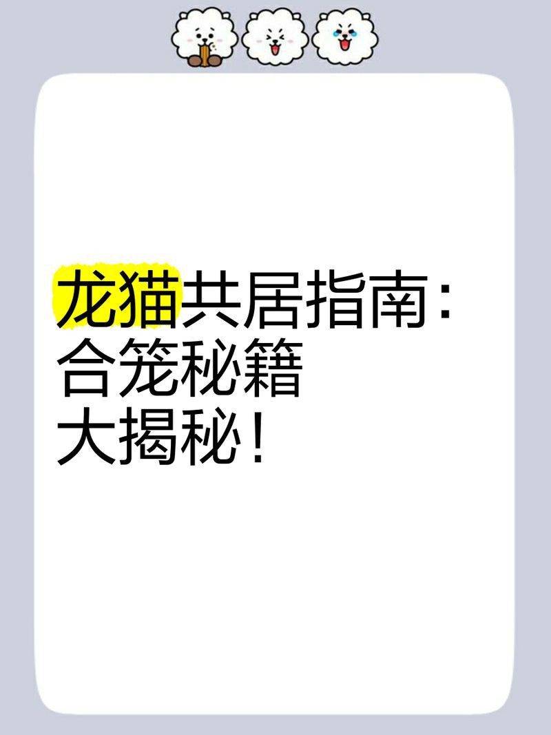 如何判斷兩只龍貓是否適合共養?【判斷兩只龍貓是否適合共養需綜合考慮年齡、性別、性格及合籠方法】 龍魚百科 第1張 如何判斷兩只龍貓是否適合共養?【判斷兩只龍貓是否適合共養需綜合考慮年齡、性別、性格及合籠方法】 如何判斷兩只龍貓是否適合共養?【判斷兩只龍貓是否適合共養需綜合考慮年齡、性別、性格及合籠方法】 龍魚百科 第1張