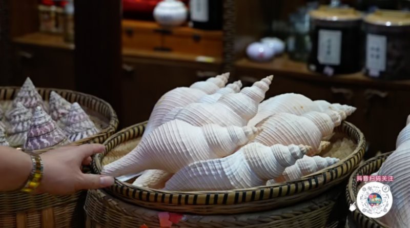 海珠龍魚店【廣州龍魚批發(fā)祥龍魚祥龍魚場老爐魚粥(同福店)】