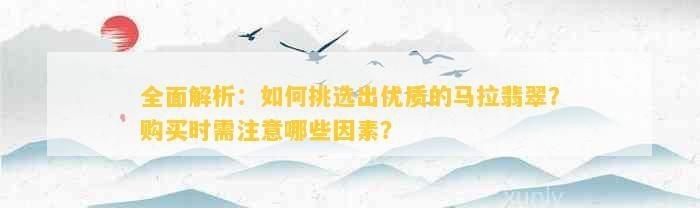 馬拉莫寶石怎么挑選好的【如何挑選優質的馬拉翡翠】