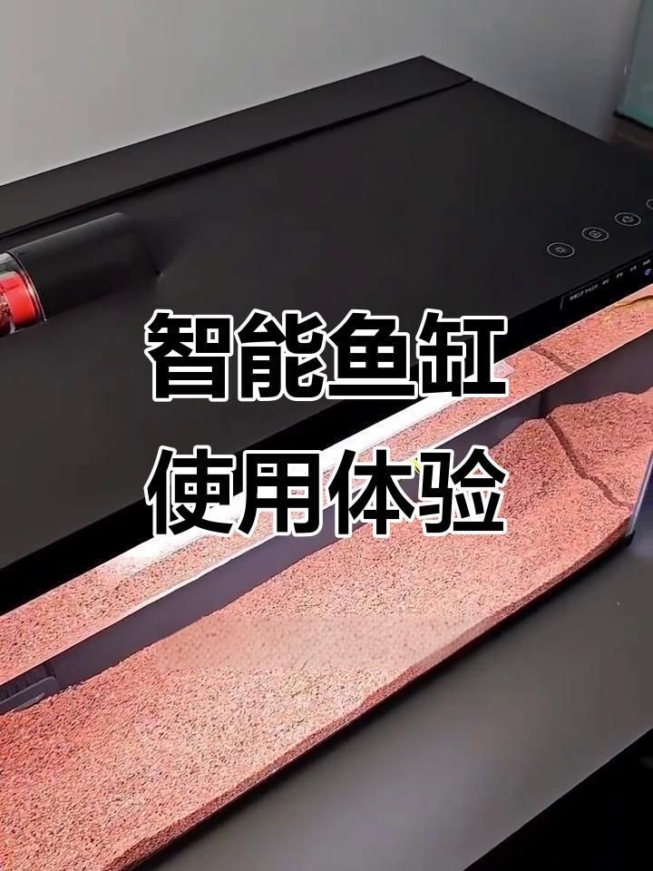 迷你魚缸小型【迷你小型魚缸品牌排行榜】