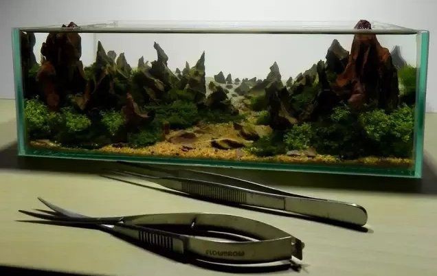 迷你魚缸小型【迷你小型魚缸品牌排行榜】