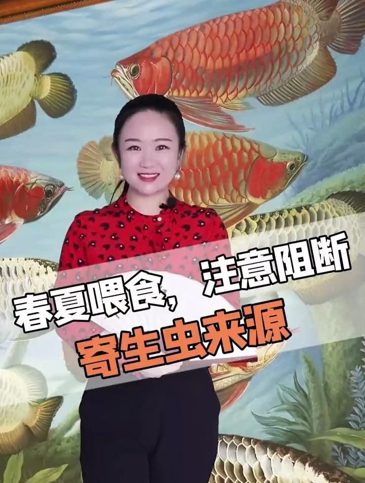 如何預防龍魚內寄生蟲感染？【如何預防龍魚內寄生蟲感染】 如何預防龍魚內寄生蟲感染？【如何預防龍魚內寄生蟲感染】 龍魚百科 第1張