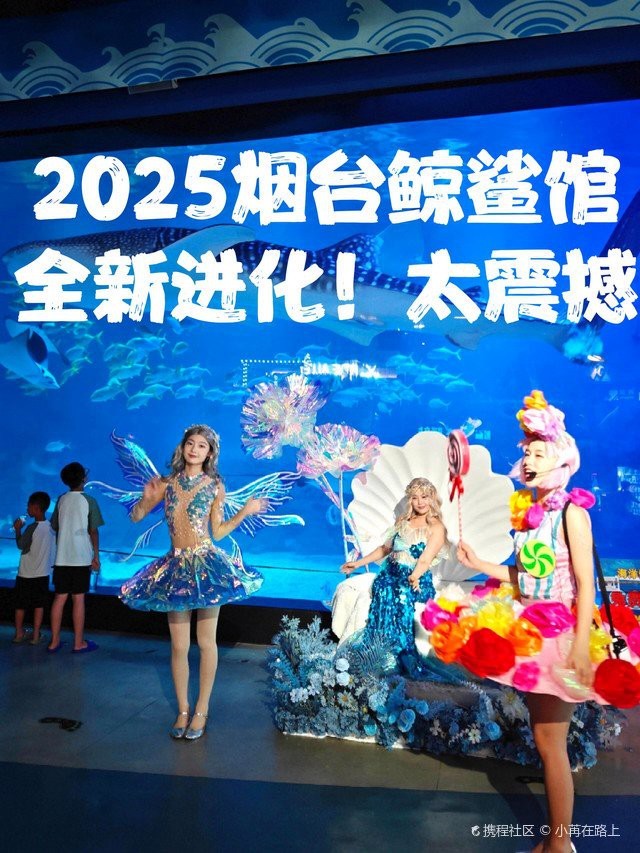 煙臺水族店【煙臺親子游的正確打開方式】