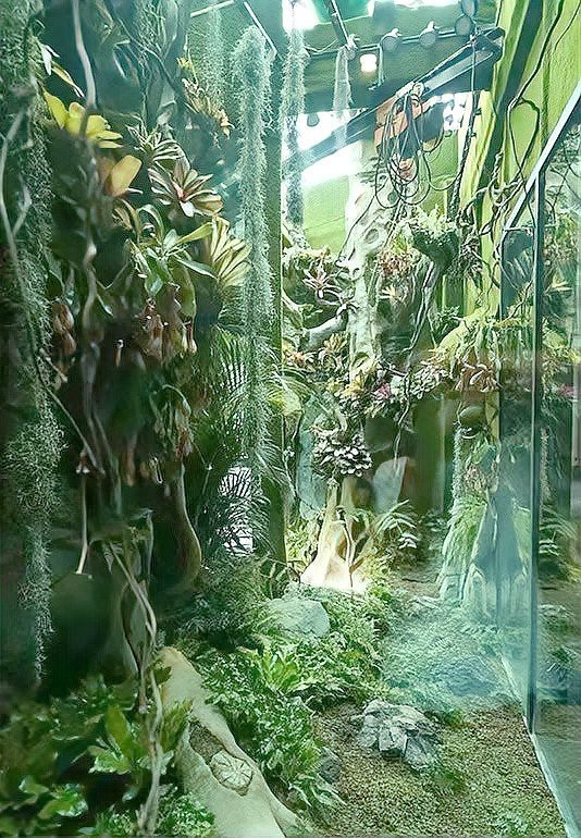 煙臺水族店【煙臺親子游的正確打開方式】
