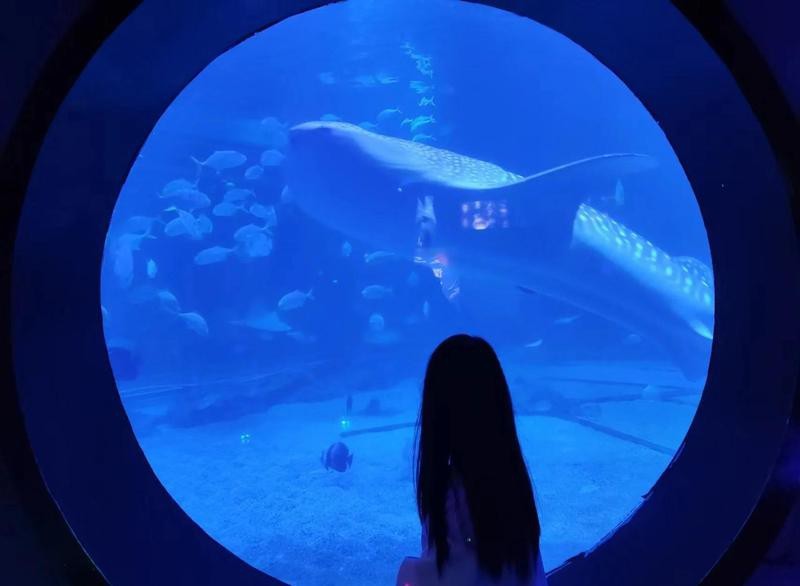 煙臺水族店【煙臺親子游的正確打開方式】