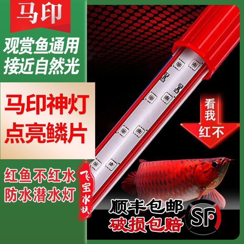 馬印燈最忌三種顏色【馬印增艷燈和發色燈區別】
