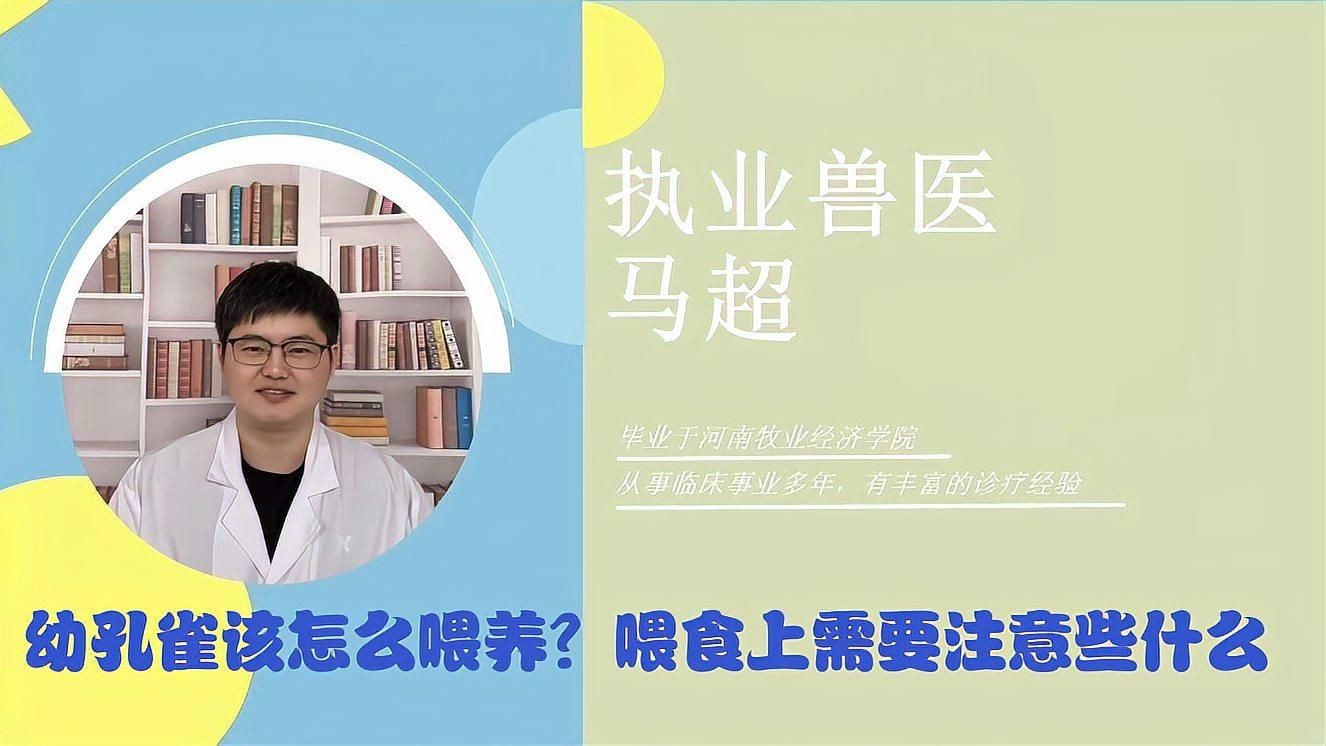 孔雀喂養方法【人養魚教學孔雀魚養殖技巧:從喂食到繁殖全攻略】