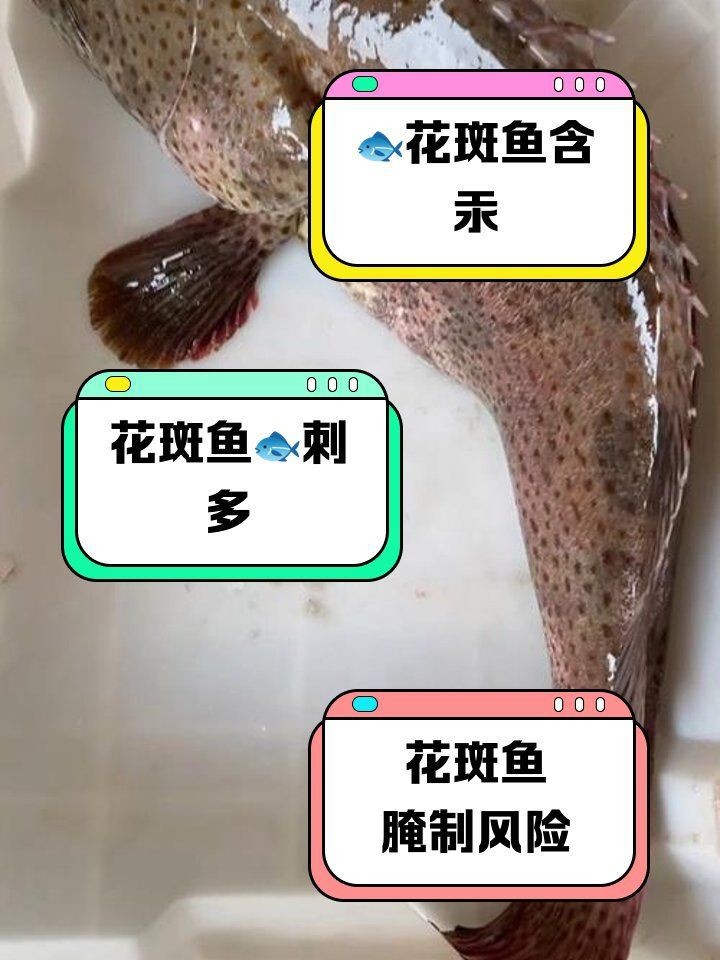 花斑魚的毒性有多強【花斑魚中毒后如何急救】 龍魚論壇 第5張 花斑魚的毒性有多強【花斑魚中毒后如何急救】 花斑魚的毒性有多強【花斑魚中毒后如何急救】 龍魚論壇 第5張