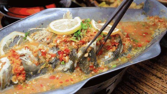 花斑魚的毒性有多強【花斑魚中毒后如何急救】 龍魚論壇 第3張 花斑魚的毒性有多強【花斑魚中毒后如何急救】 花斑魚的毒性有多強【花斑魚中毒后如何急救】 龍魚論壇 第3張