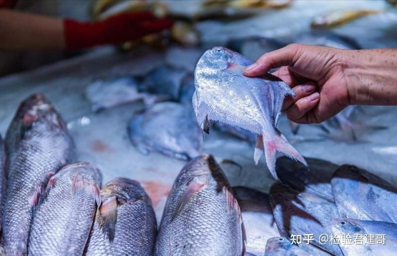 花斑魚的毒性有多強【花斑魚中毒后如何急救】 龍魚論壇 第10張 花斑魚的毒性有多強【花斑魚中毒后如何急救】 花斑魚的毒性有多強【花斑魚中毒后如何急救】 龍魚論壇 第10張