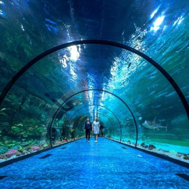 阿壩水族店【阿壩地區(qū)的水族業(yè)態(tài)呈現(xiàn)多元化發(fā)展】 阿壩水族店【阿壩地區(qū)的水族業(yè)態(tài)呈現(xiàn)多元化發(fā)展】 全國水族館企業(yè)名錄 第6張