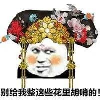 紅龍微信頭像適合哪些職業
