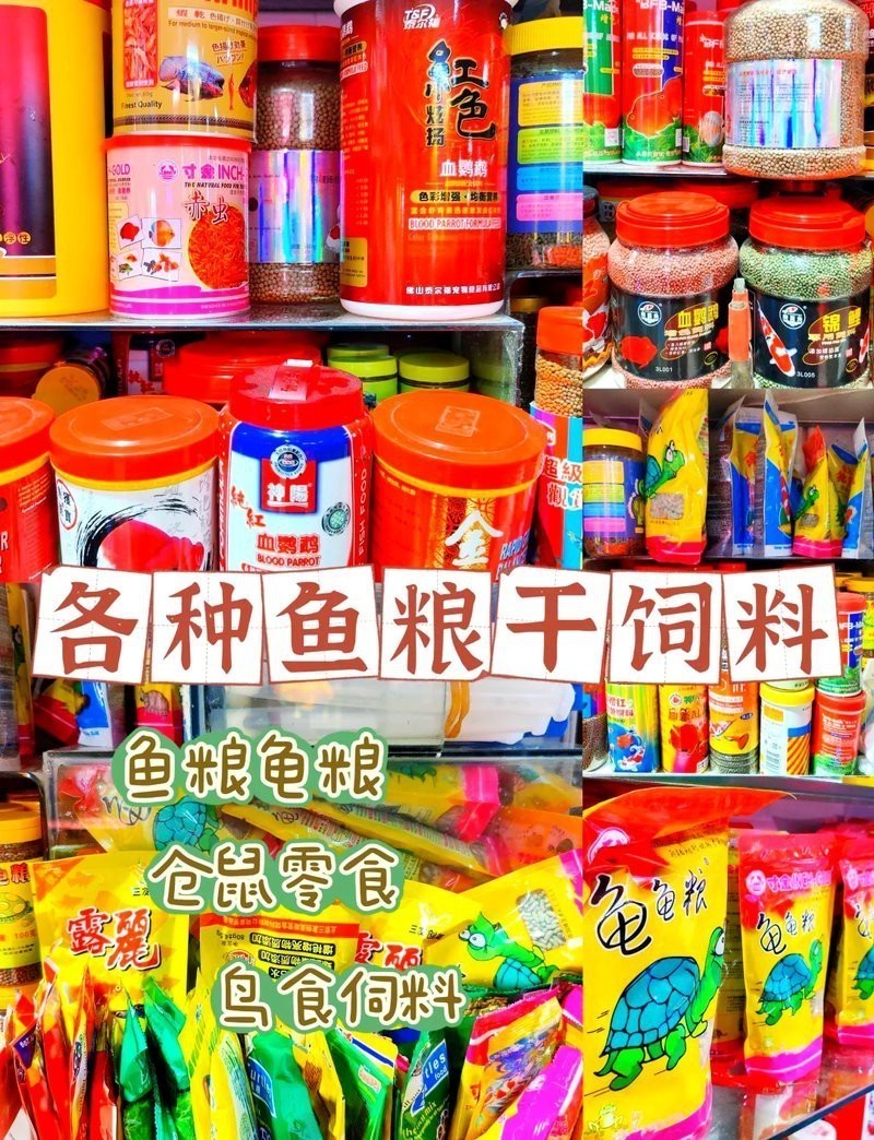 香洲水族店【珠海市香洲區哪家水族店口碑最好】