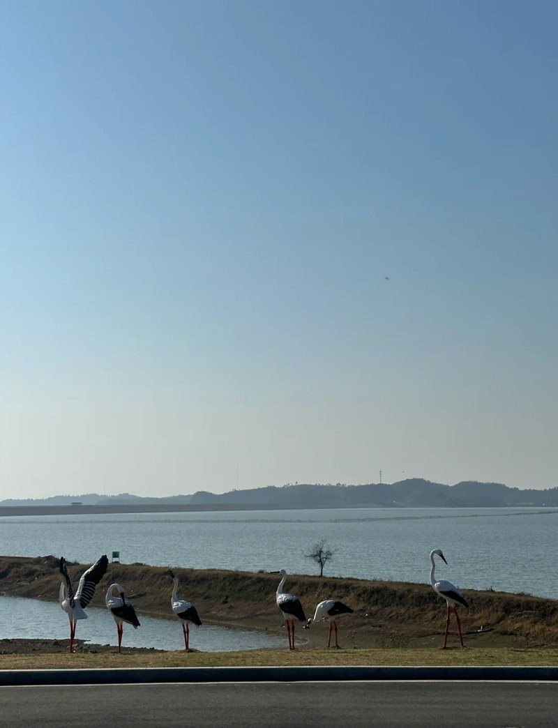 湖口水族店【九江湖口水族館探秘:縣級水族館的驚喜之旅脆甜琪淋冰小貝】