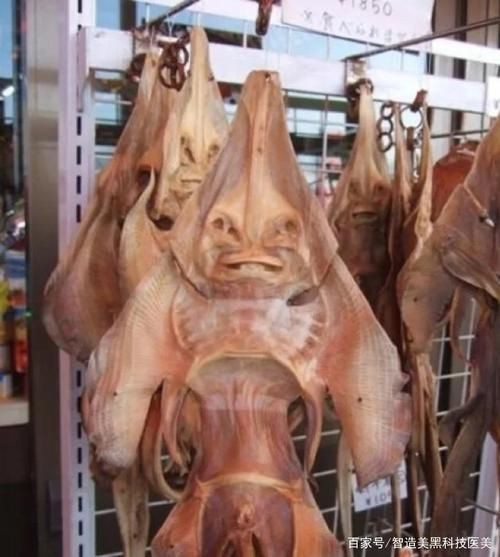 魟魚曬干后的圖片【[需手動填充]魚曬干后的形態(tài)與其水中游弋時的優(yōu)雅形象形成強烈反差】