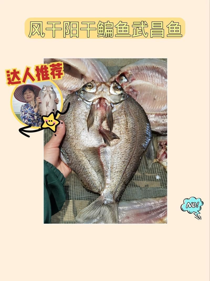 魟魚曬干后的圖片【[需手動填充]魚曬干后的形態(tài)與其水中游弋時的優(yōu)雅形象形成強烈反差】