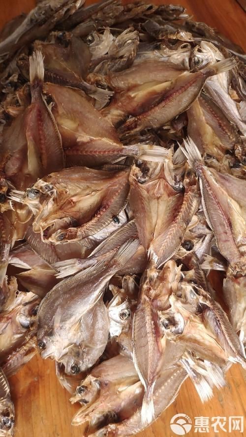 魟魚曬干后的圖片【[需手動填充]魚曬干后的形態(tài)與其水中游弋時的優(yōu)雅形象形成強烈反差】