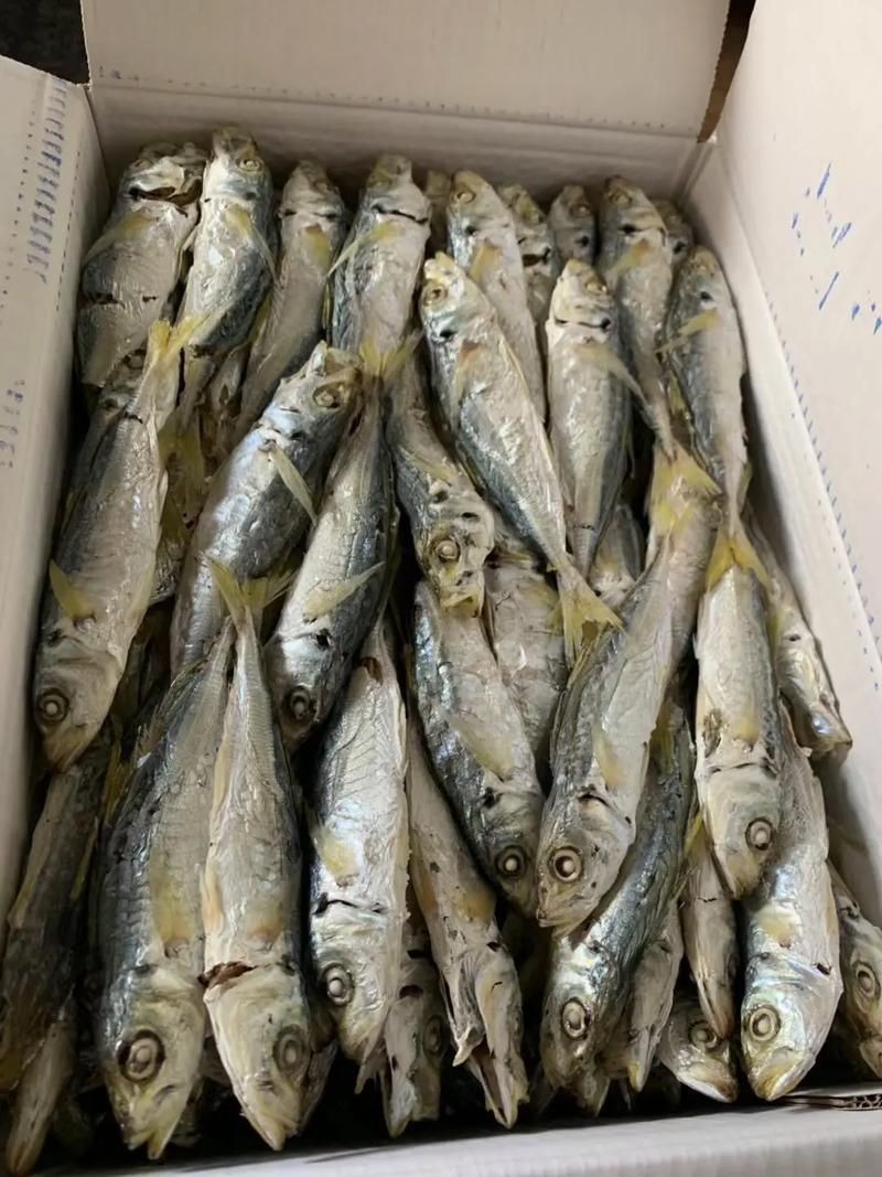魟魚曬干后的圖片【[需手動填充]魚曬干后的形態(tài)與其水中游弋時的優(yōu)雅形象形成強烈反差】
